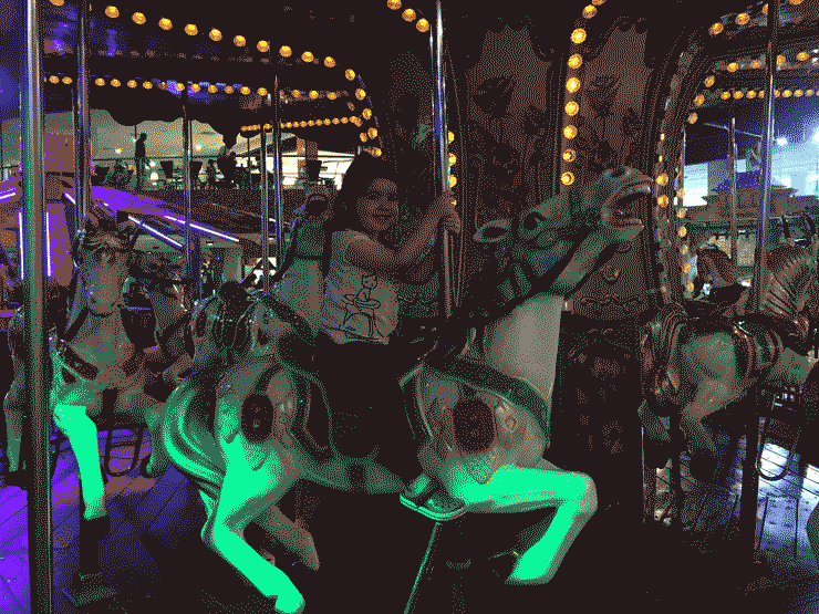 lila-IMG_3191-manege