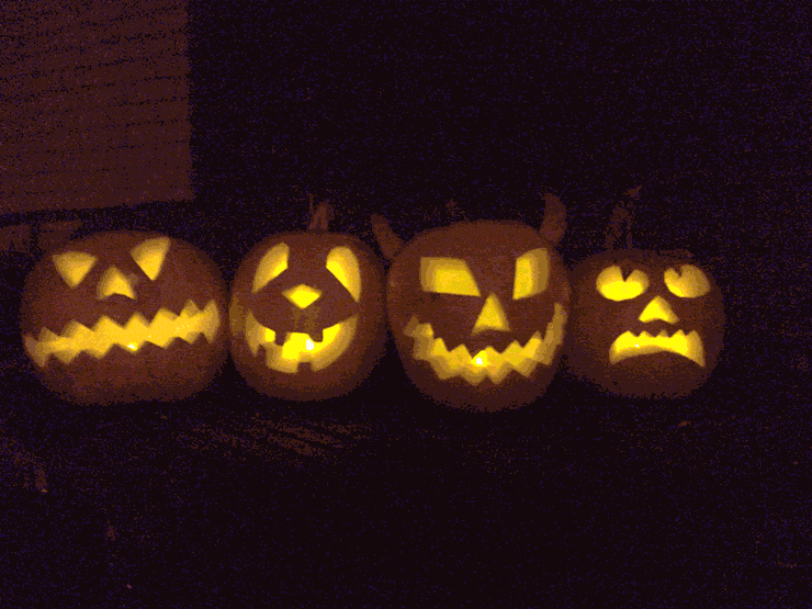 citrouilles